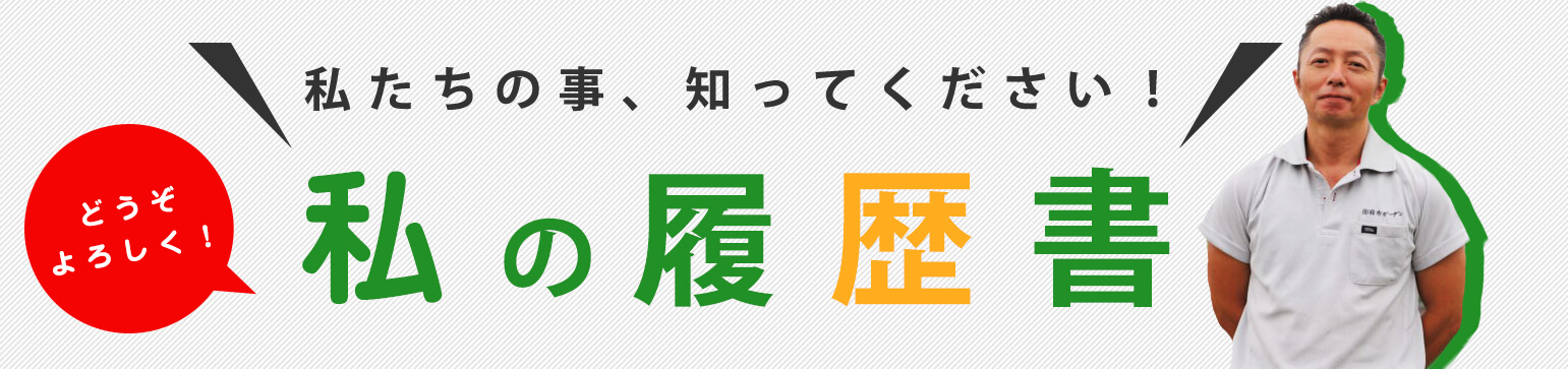 私の履歴書